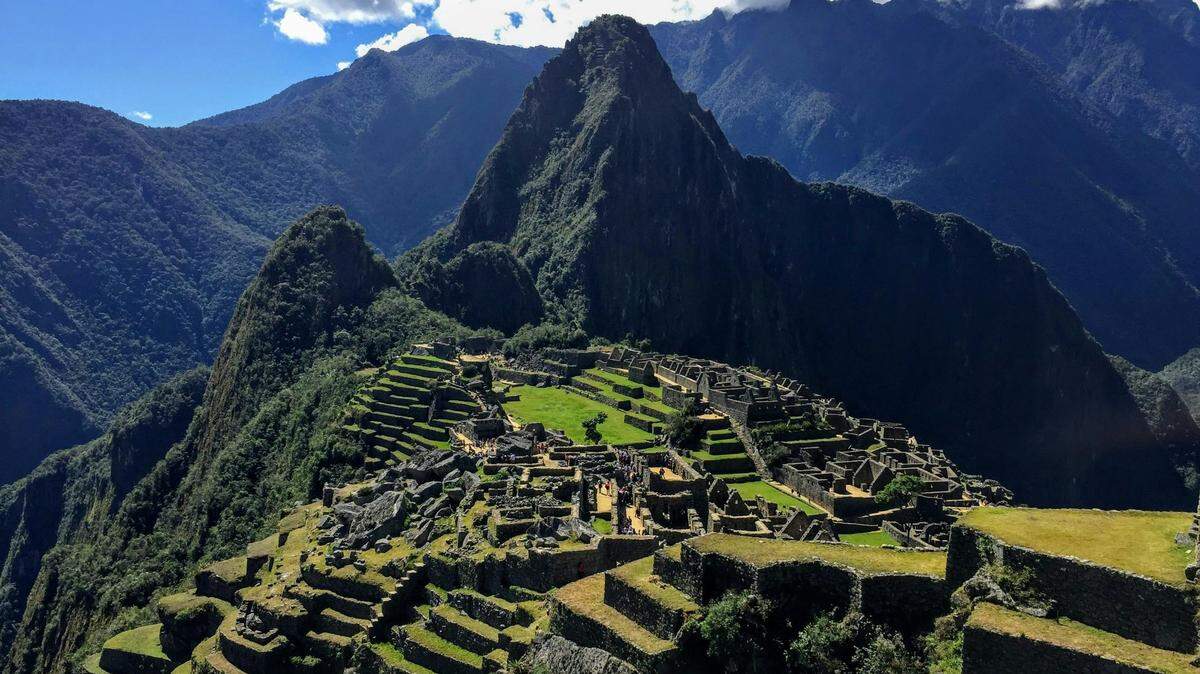 The species, found only in the Peruvian Andes, is geographically isolated from other close relatives, according to a study.