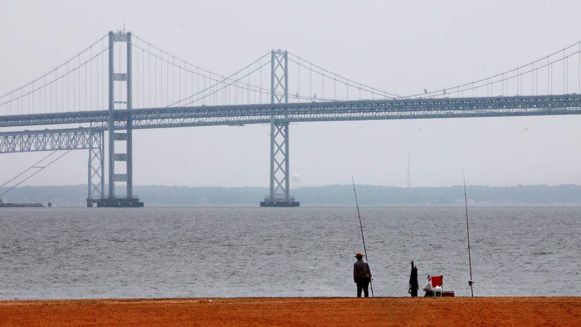 In this Wednesday, May 12, 2010, file photo, a man looks out over the Chesapeake Bay, with the Bay Bridge in the background, at Sandy Point State Park in Annapolis, Md.