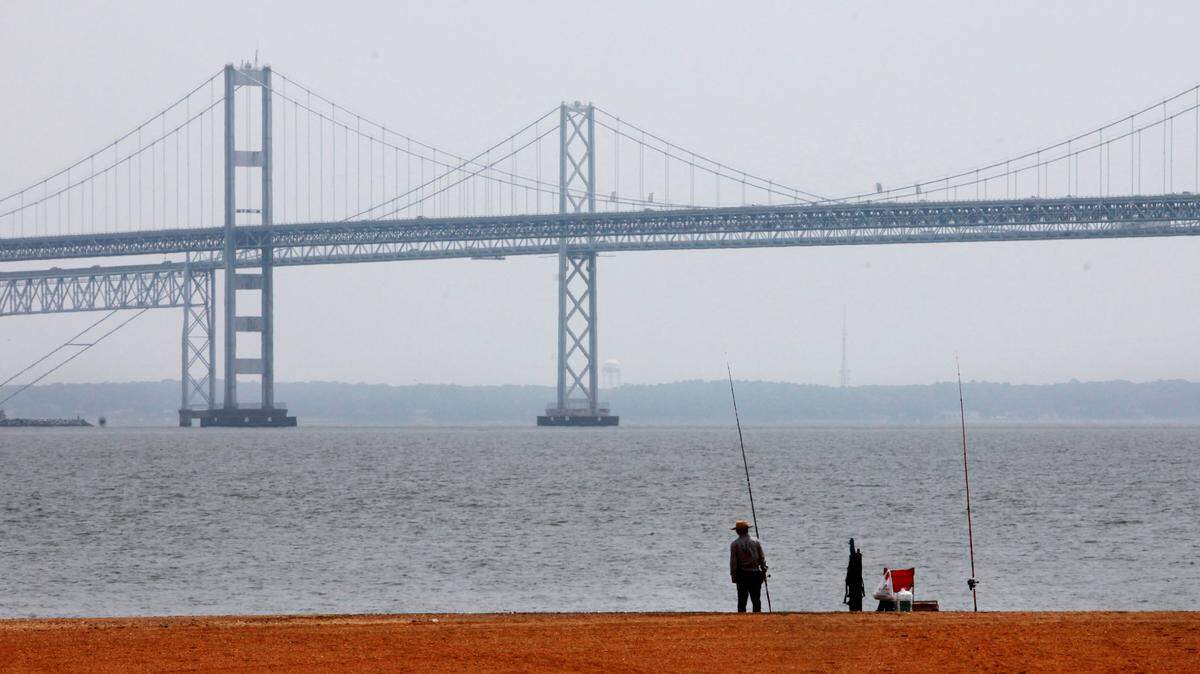 In this Wednesday, May 12, 2010, file photo, a man looks out over the Chesapeake Bay, with the Bay Bridge in the background, at Sandy Point State Park in Annapolis, Md.