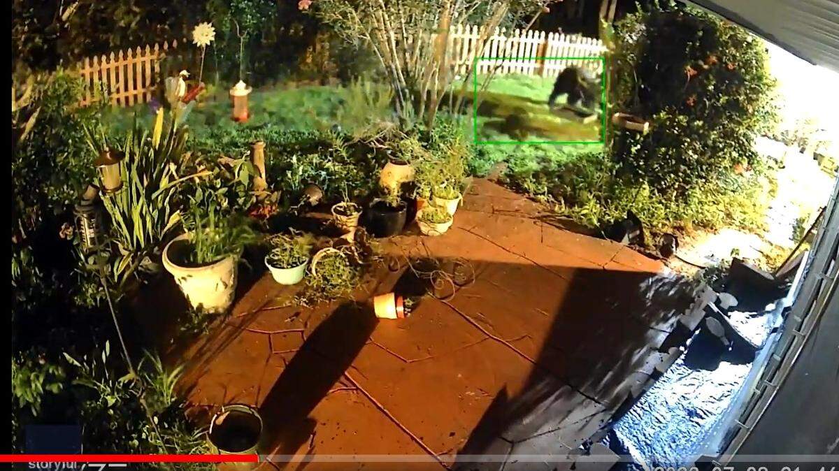 Two black bears went to battle in a Florida homeowner’s backyard and it was all caught on video/Storyful screenshot
