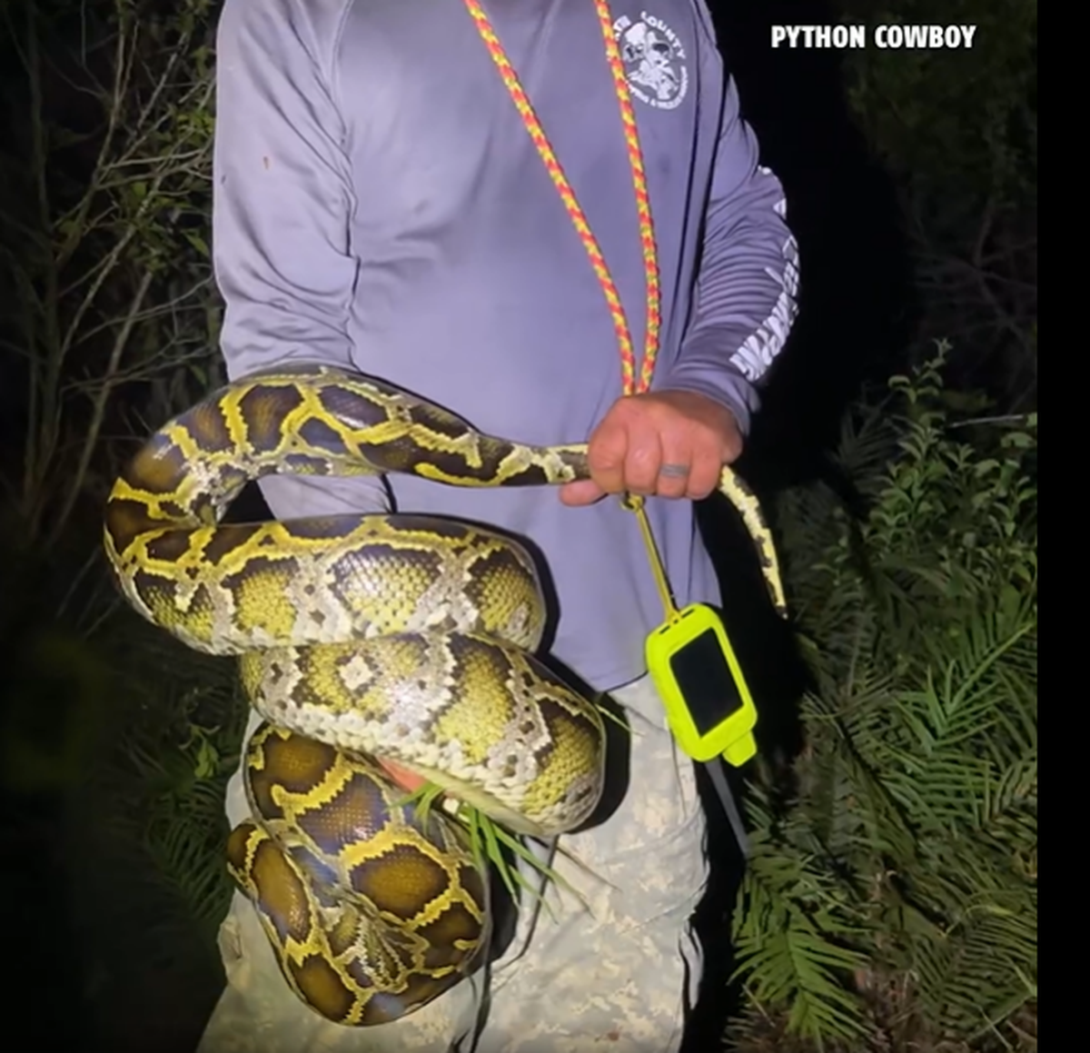 Another hunter grabbed the snake by the head, resulting in it wrapping itself around his arm.