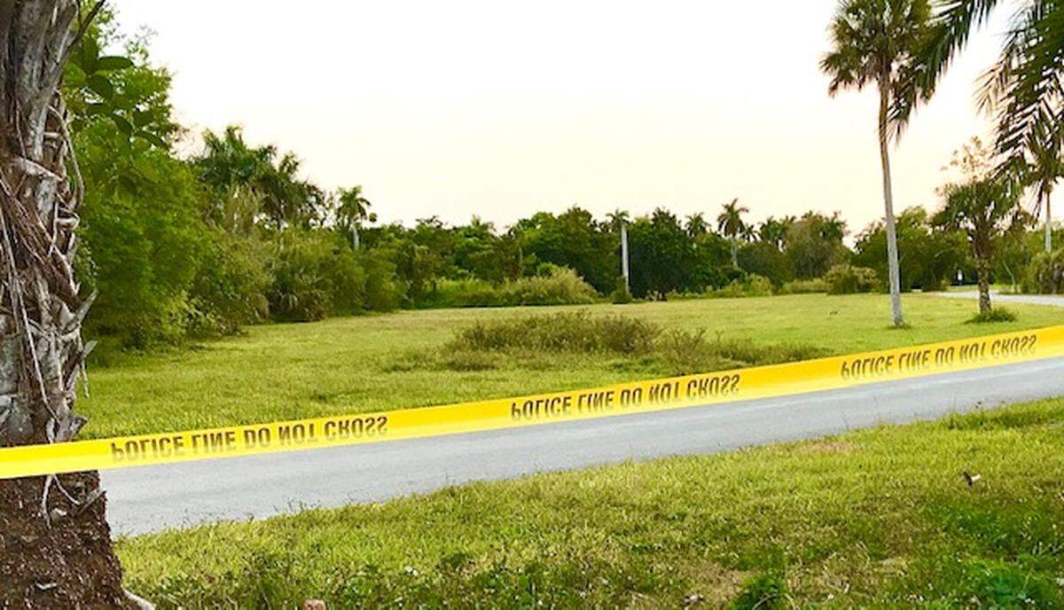 West Matheson Park was closed for three months to stem the spread of coronavirus, angering park regulars who said the wide-open green space is ideal for social distancing and walking dogs. It will close again in the fall during an improvement project.
