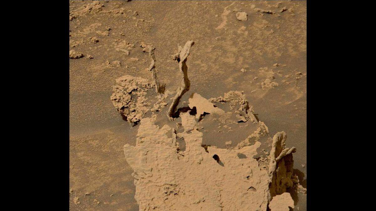 This image of these growths was taken by Mast Camera (Mastcam) onboard NASA’s Mars rover Curiosity in May.
