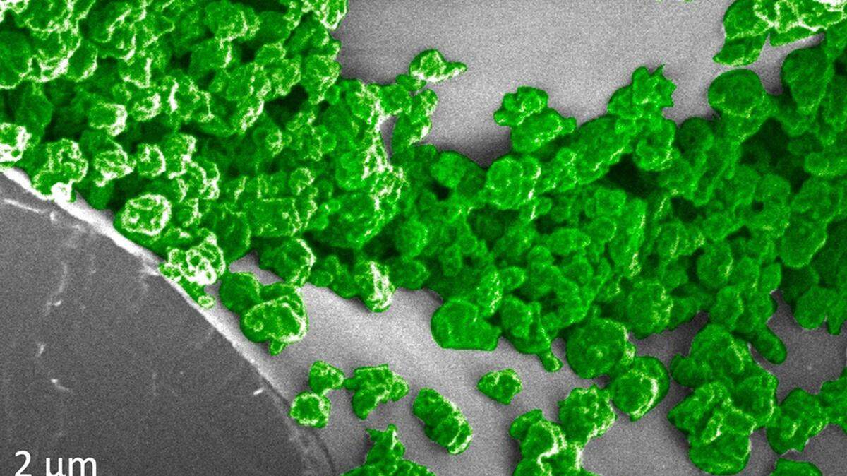 MIT researchers designed glow-in-the-dark technology that gets embedded in plant leaves and charged by LED lighting.