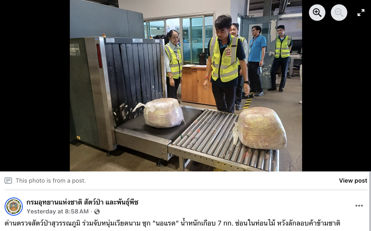 The man was traveling with packages including wooden logs filled with secret compartments.