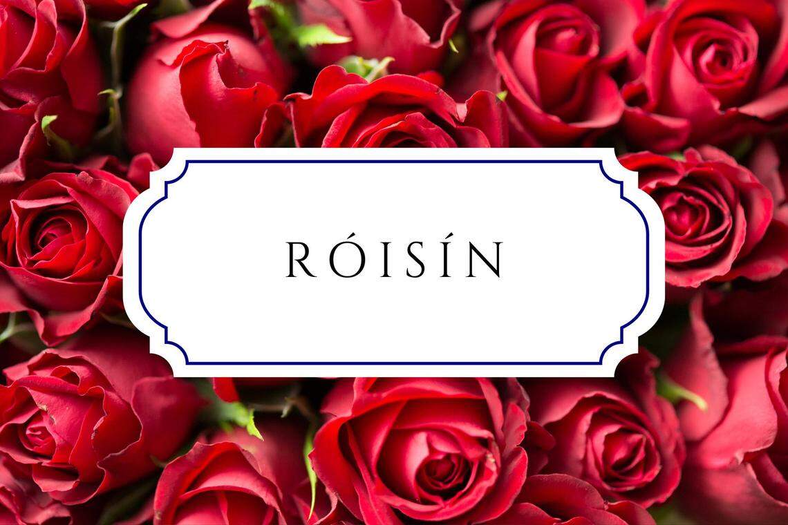 baby names that mean gift Róisín
