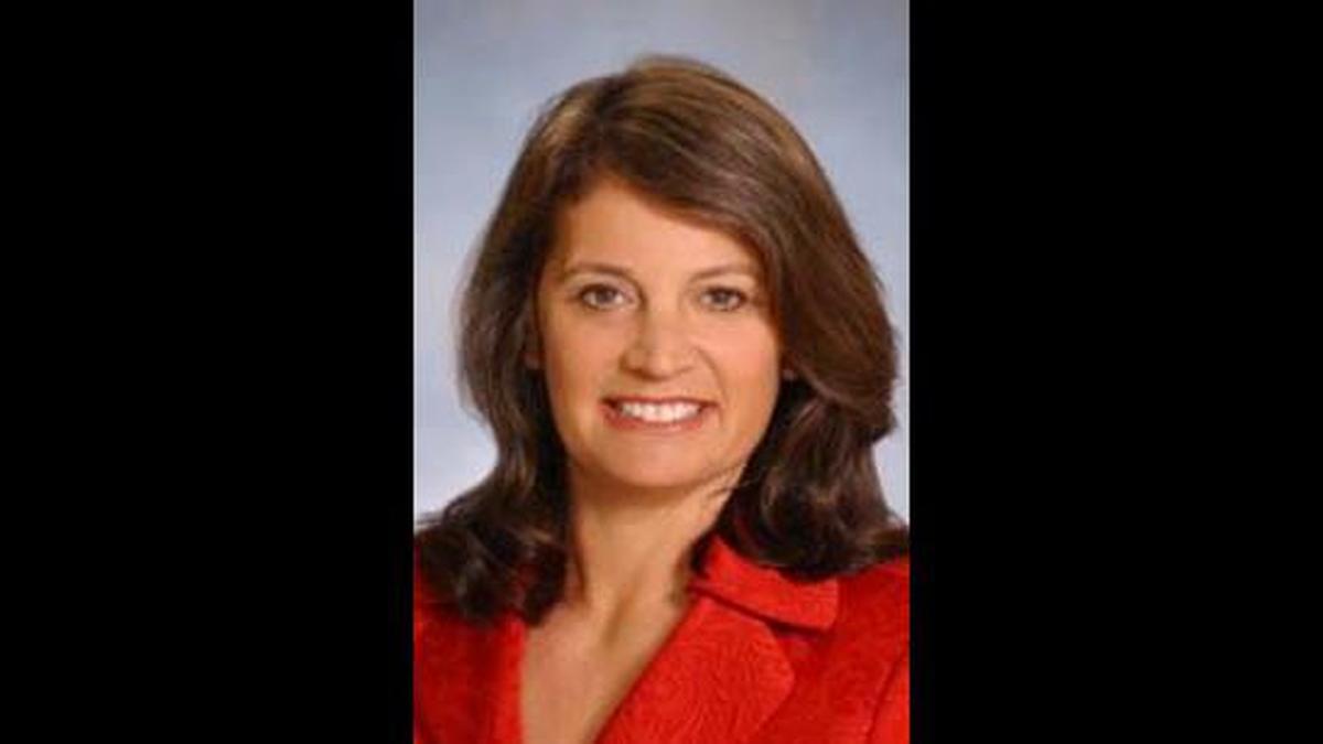 Laurie Rich Levinson
