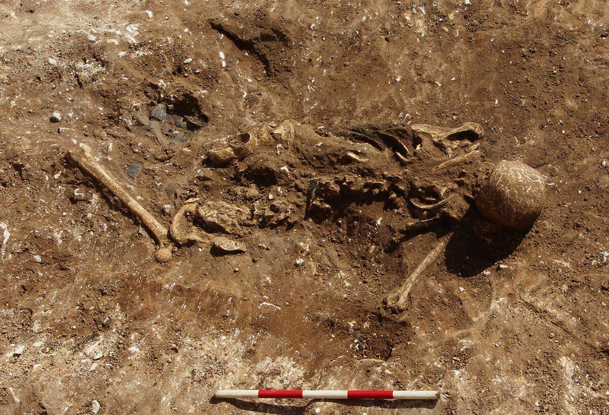 Human and animal bones from roughly 300 individuals were found in a single quarry pit.