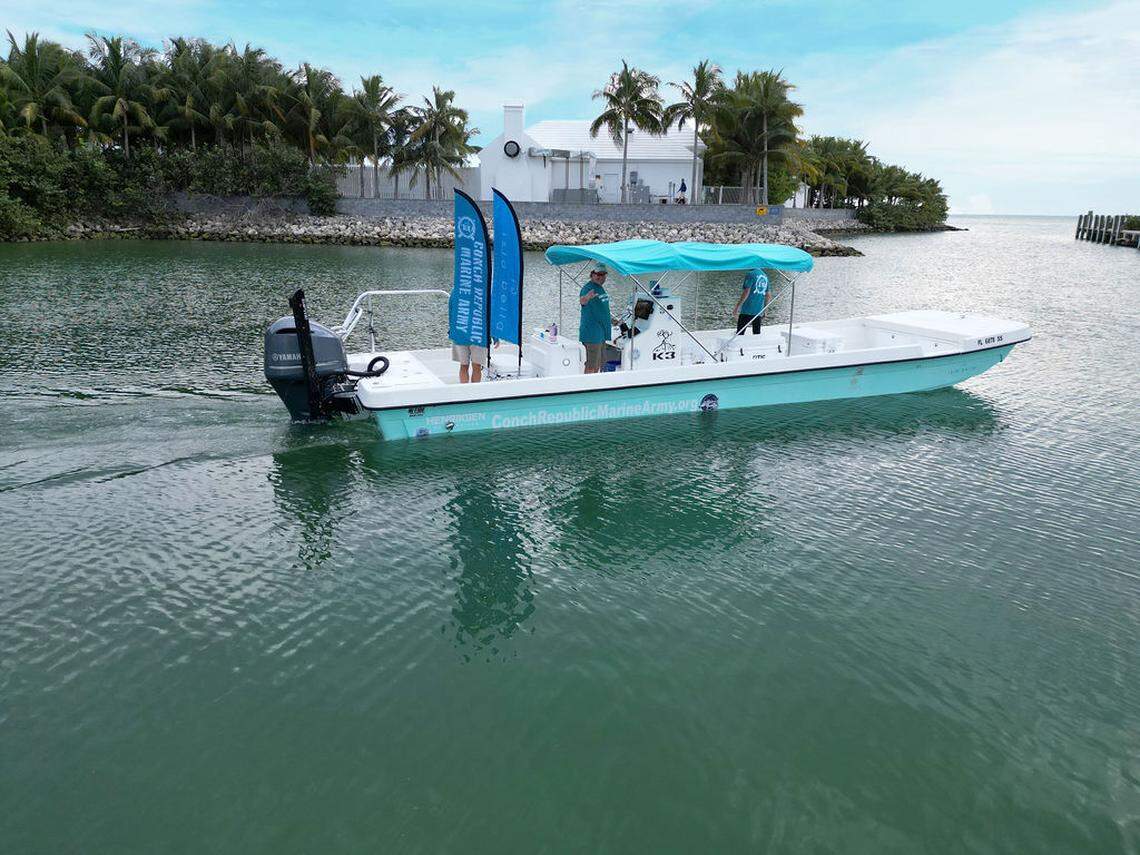 Join a feel-good cleanup mission through Isla Bella’s boat excursions that help preserve local mangroves.