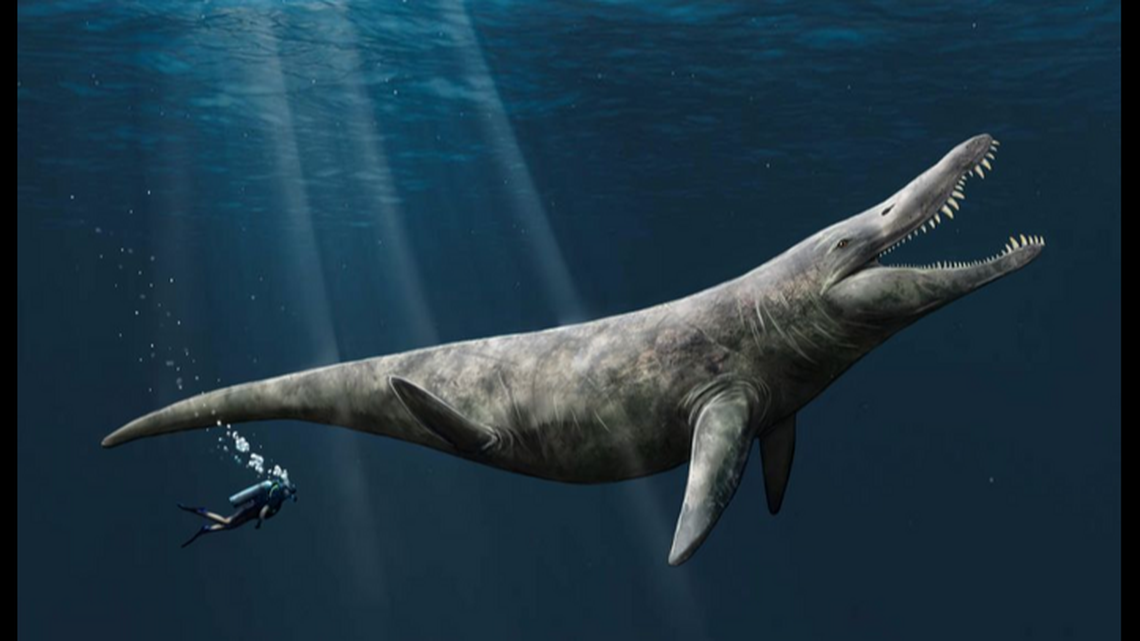 The gigantic sea creatures were more powerful than Tyrannosaurus rexes, scientists said.