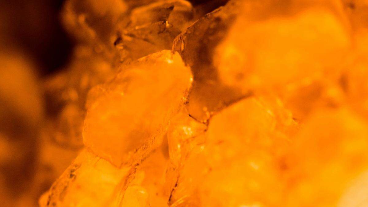 A creature trapped in amber for tens of millions of years was revealed to be a species new to science.