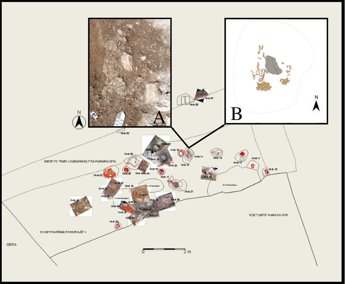 The site includes a section of cemetery with very young bodies, according to the study.