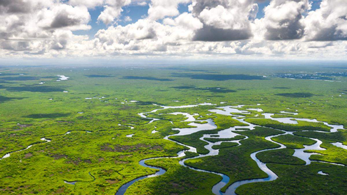 The Everglades Restoration Project has made progress during the past 20 years. However, a reservoir project has hit a speed bump.