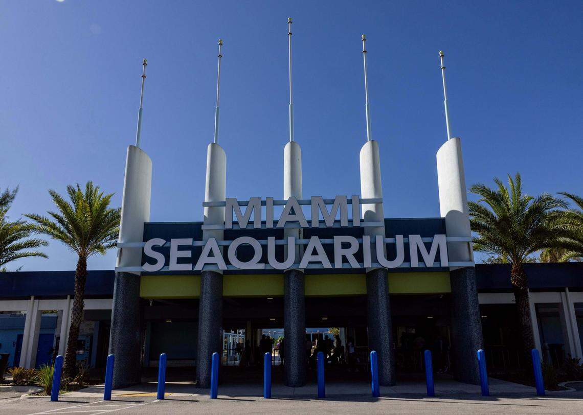 An exterior shot of Miami Seaquariumon Sunday, Oct. 12, 2025, on Virginia Key in Miami, Fla.
