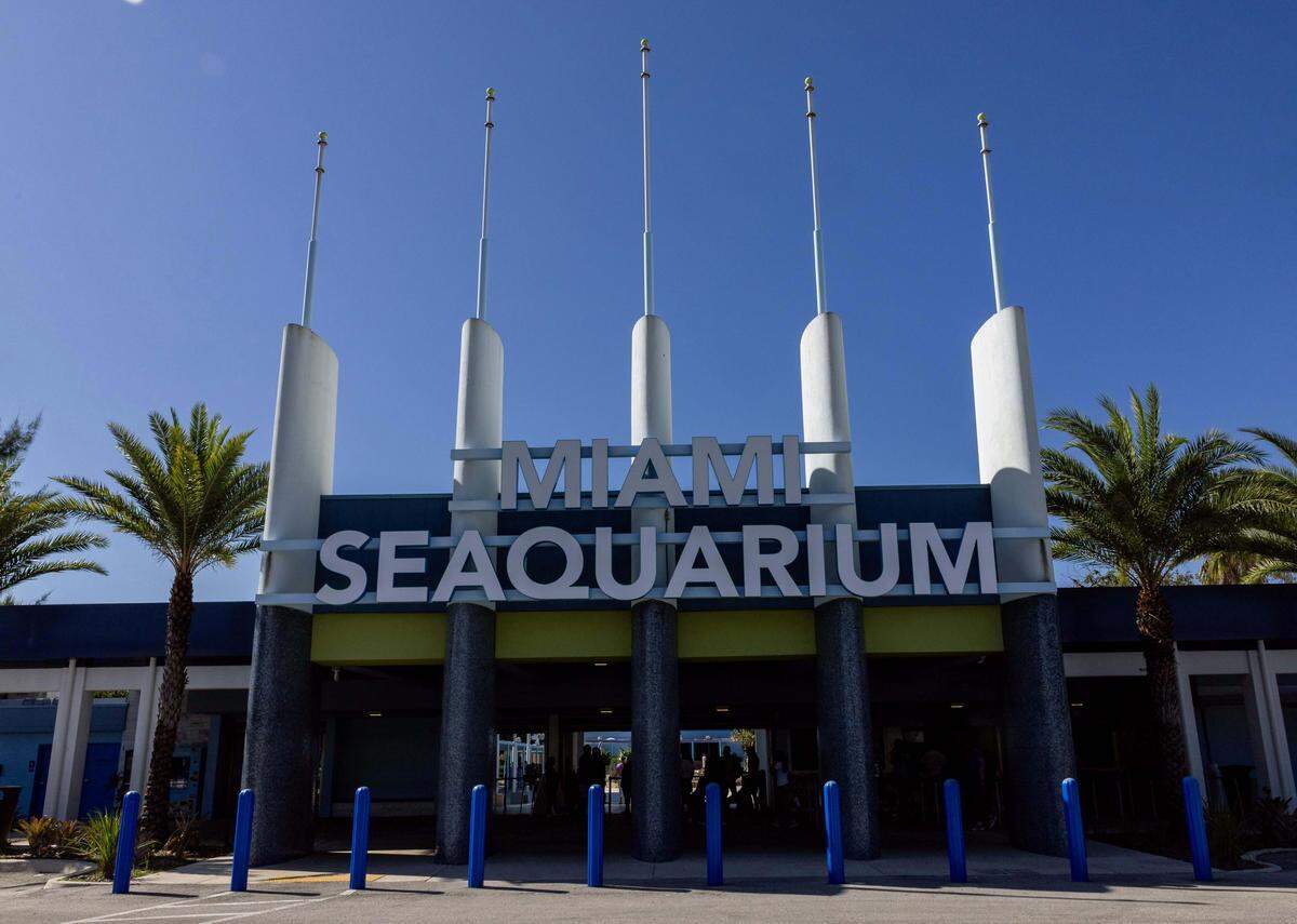 An exterior shot of Miami Seaquarium on Sunday, October 12, 2025, in Key Biscayne, Fla.