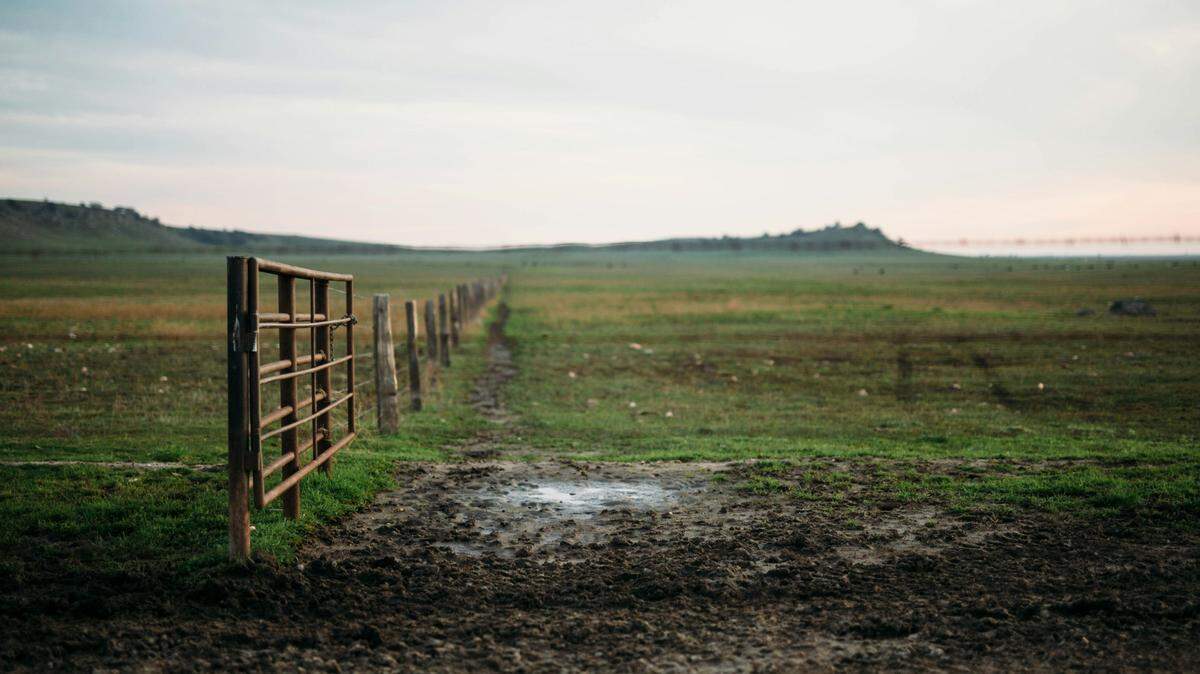 A farmer asked for help searching his field in Poland after losing part of his plow, then made a historical discovery.