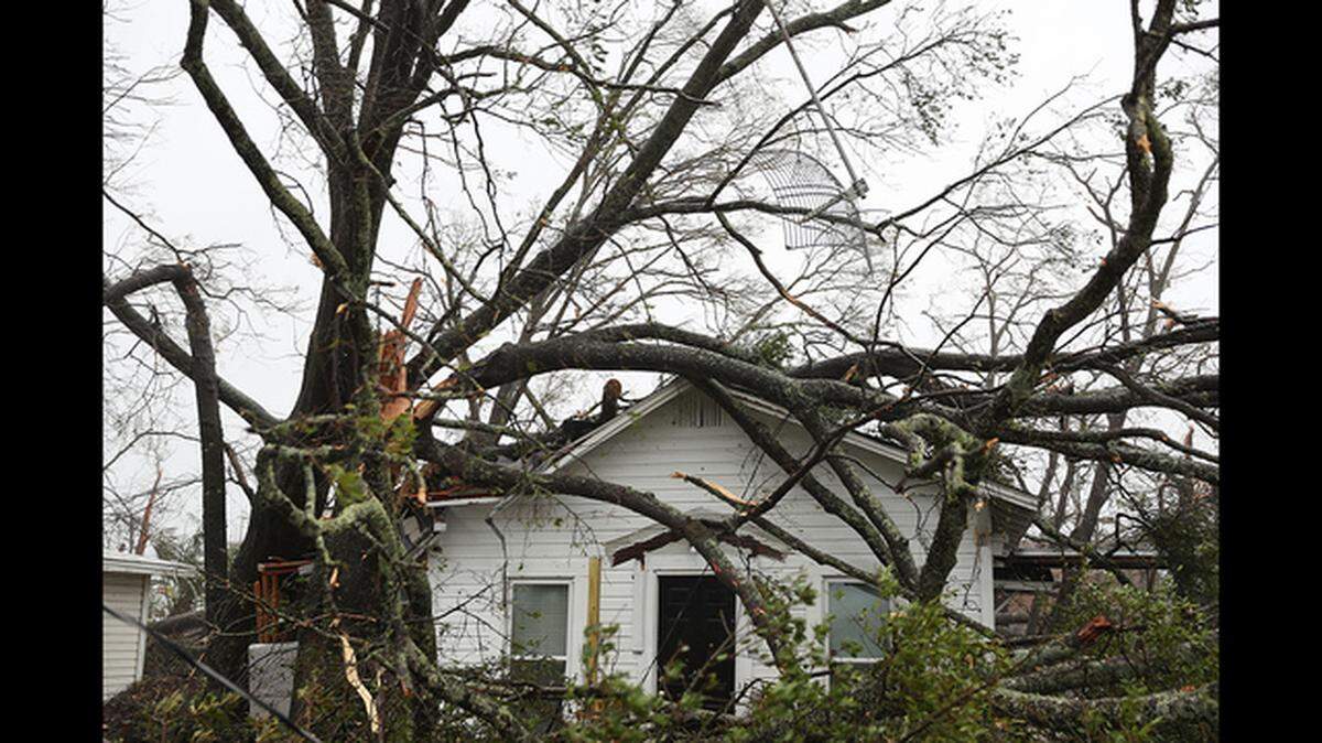 Trees toppled on top of a home when Hurricane Michael, Category 4, passed through Panama City, Florida, in 2018.