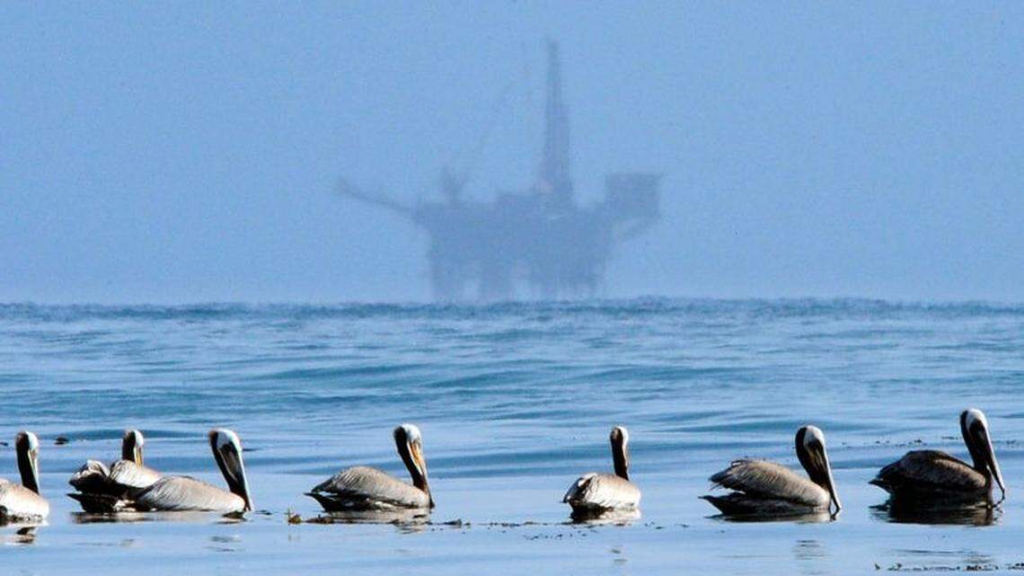 Threat of offshore drilling in Florida still alive. Leaders should insist Trump kill it off | Opinion