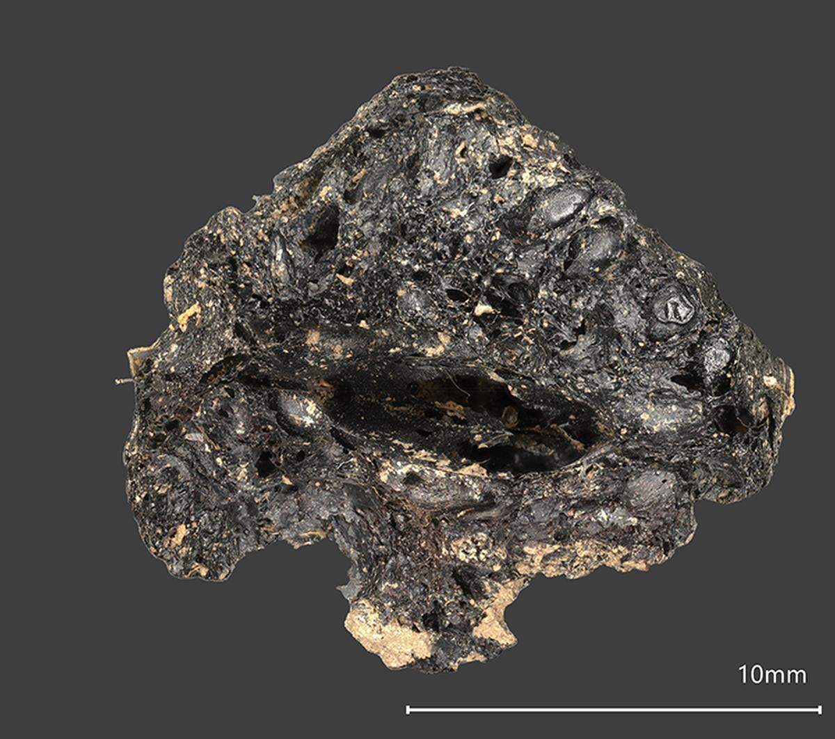 This is the oldest example of an exotic food found in Ireland, researchers said.