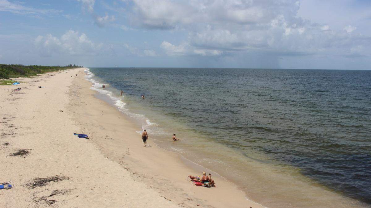 The Florida Department of Health in Indian River County issued a no-swim warning Thursday due to the high levels of bacteria at Coconut Point at Sebastian Inlet State Park, a press release says.