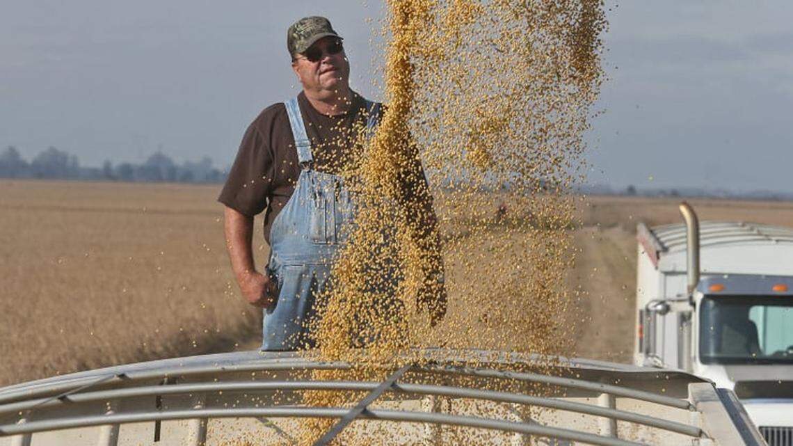 in 2017, truck driver Marion Howard watches soy beans load into his truck. Soybean farmers were especially hard hit in the U.S.-China trade war.
