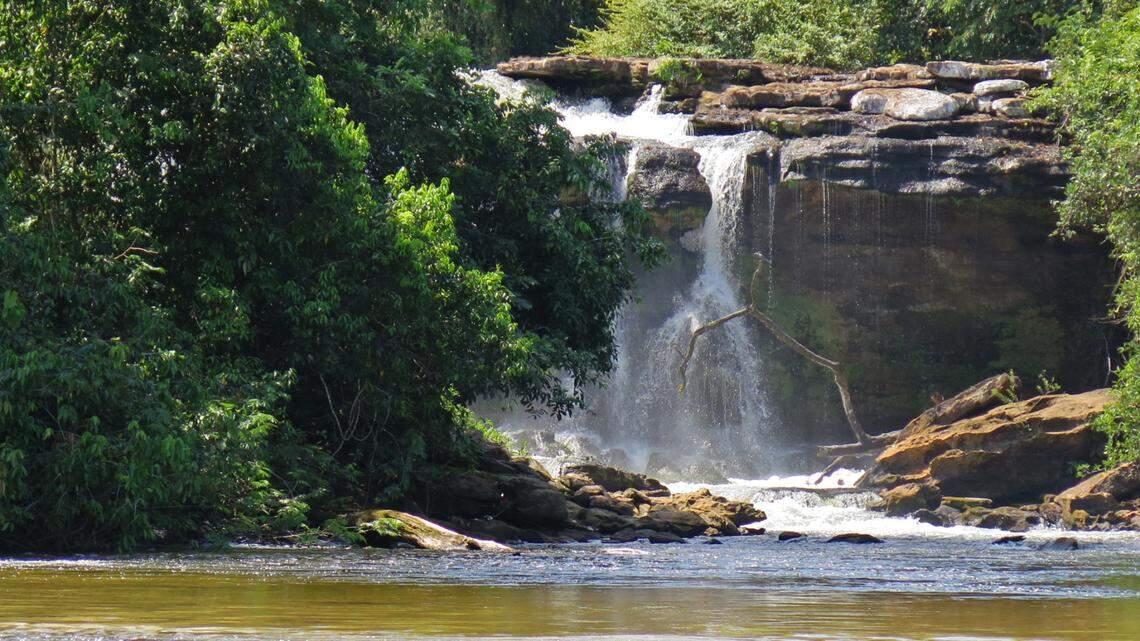 The new species of fish was discovered in the rio Braço Norte in Brazil.