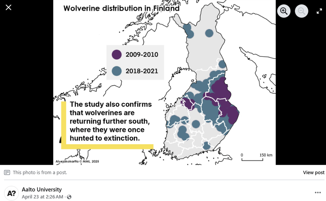 Wolverines are generally in areas separated from human influence, researchers said.