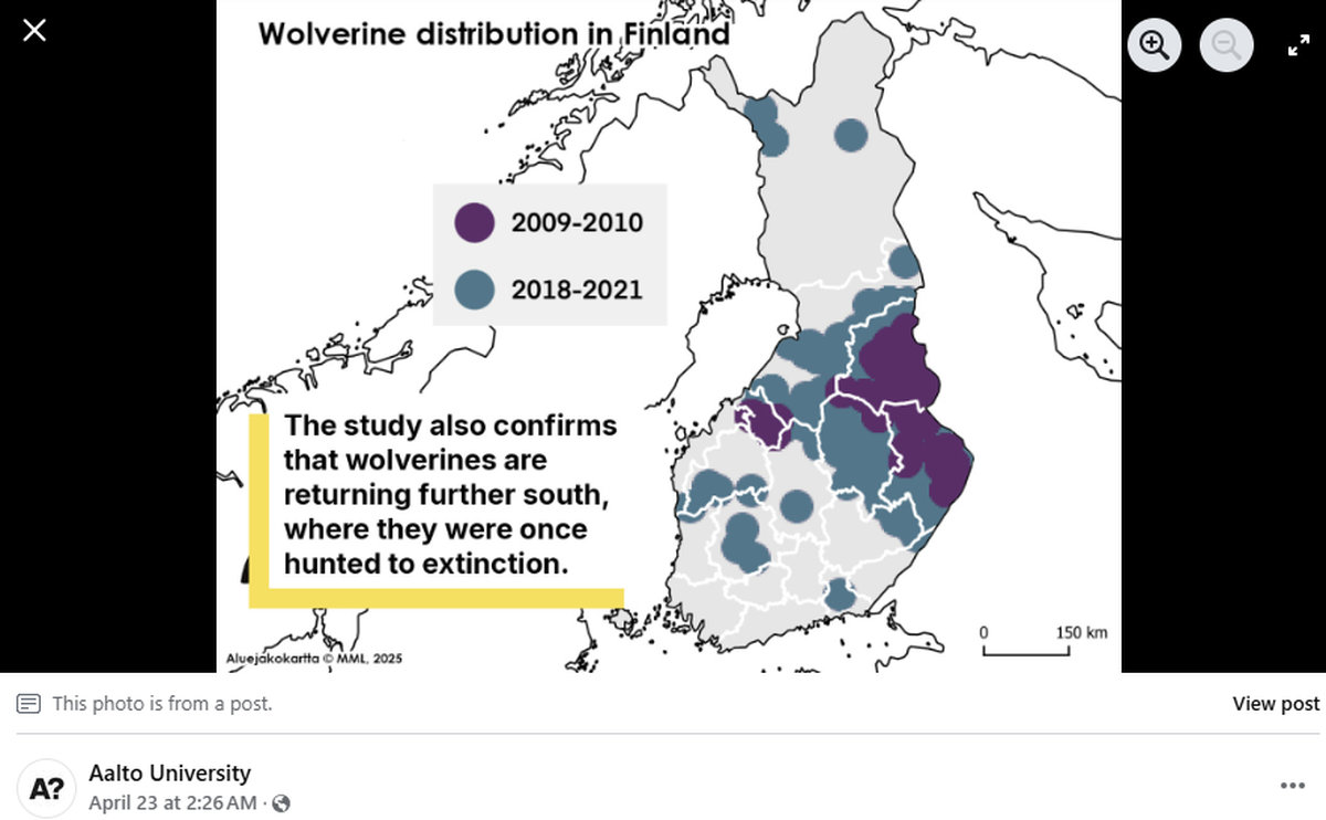 Wolverines are generally in areas separated from human influence, researchers said.