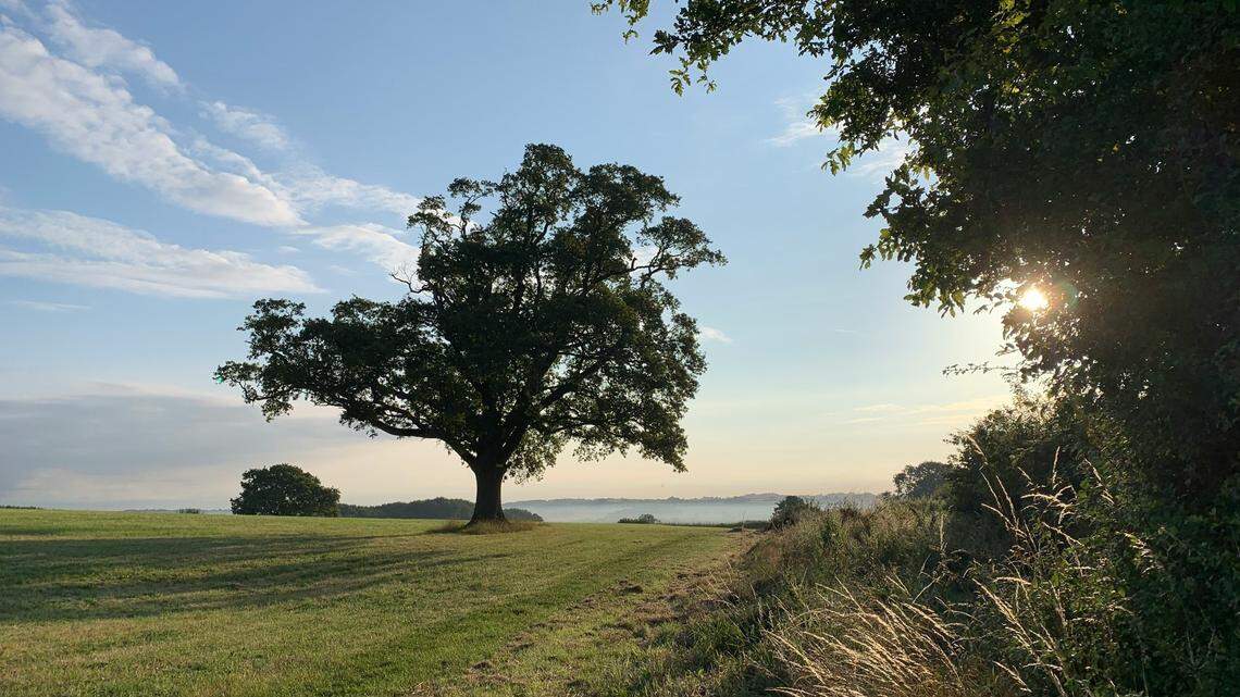 In the rolling hills of western England, an ancient Roman townhouse had its greatest art on the floor.