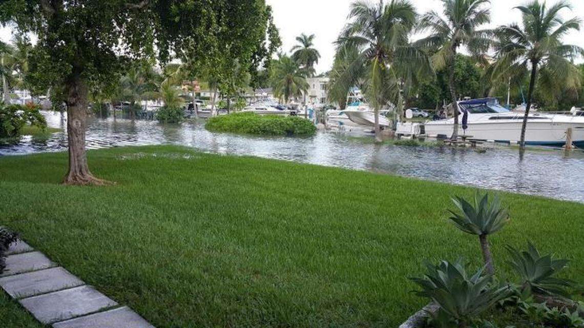 A Miami-Dade neighborhood that relies on septic tanks experiences flooding during the 2016 King Tide. A new report commissioned by the county shows that half of the county’s septic tanks break down yearly, a problem that sea level rise will worsen.
