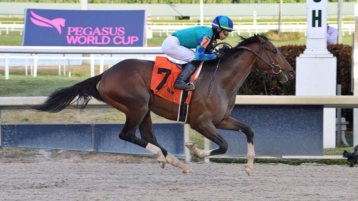 Collaborate trainer hopes to beat legendary trainers with a victory in the Florida Derby