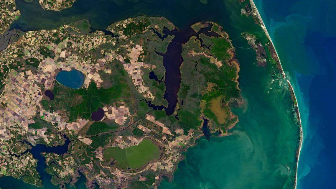Inland-creeping saltwater is changing U.S. coastal wetlands, and now you can see the effects from space.