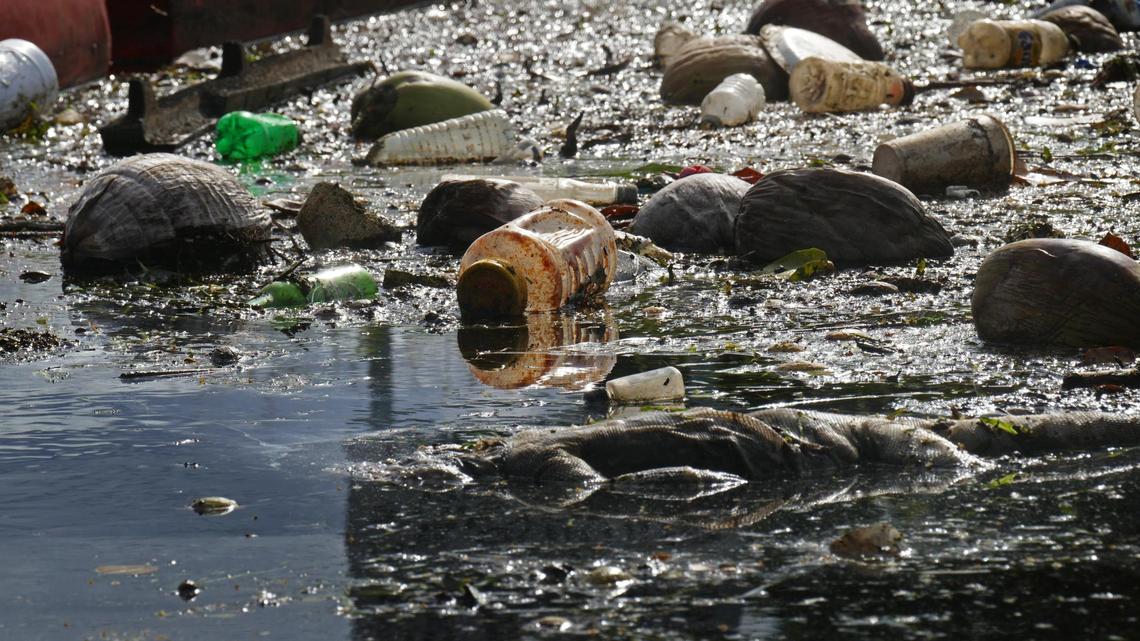 The Little River’s polluted flow fuels Biscayne Bay troubles. Scientists taking a deeper look