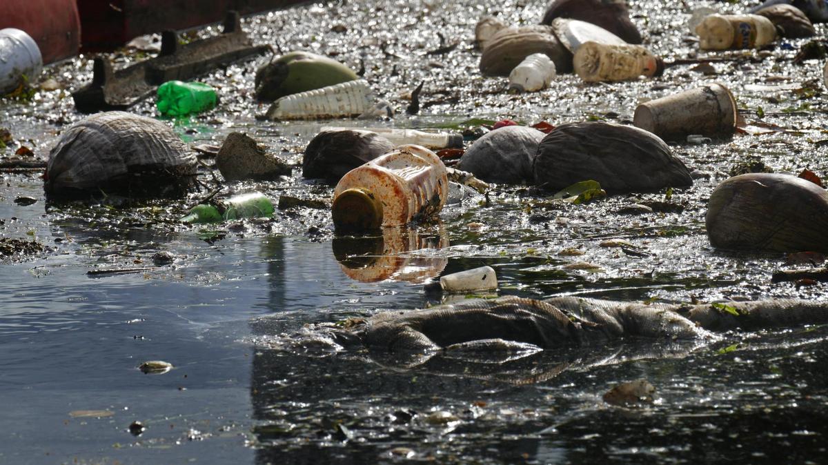 The Little River’s polluted flow fuels Biscayne Bay troubles. Scientists taking a deeper look
