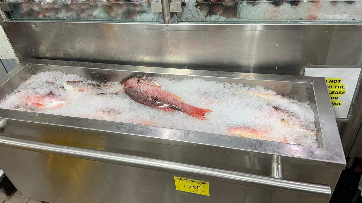 One of the violations inspectors found at Key Food Supermarket on June 13 was “Observed two bunkers displaying raw whole fish in ice unprotected” in the retail area. This picture was taken June 15.