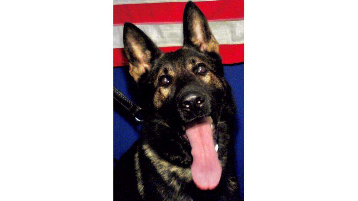 Jacksonville Sheriff’s Office K-9 officer Fang was killed in the line of duty Set. 30, 2018.