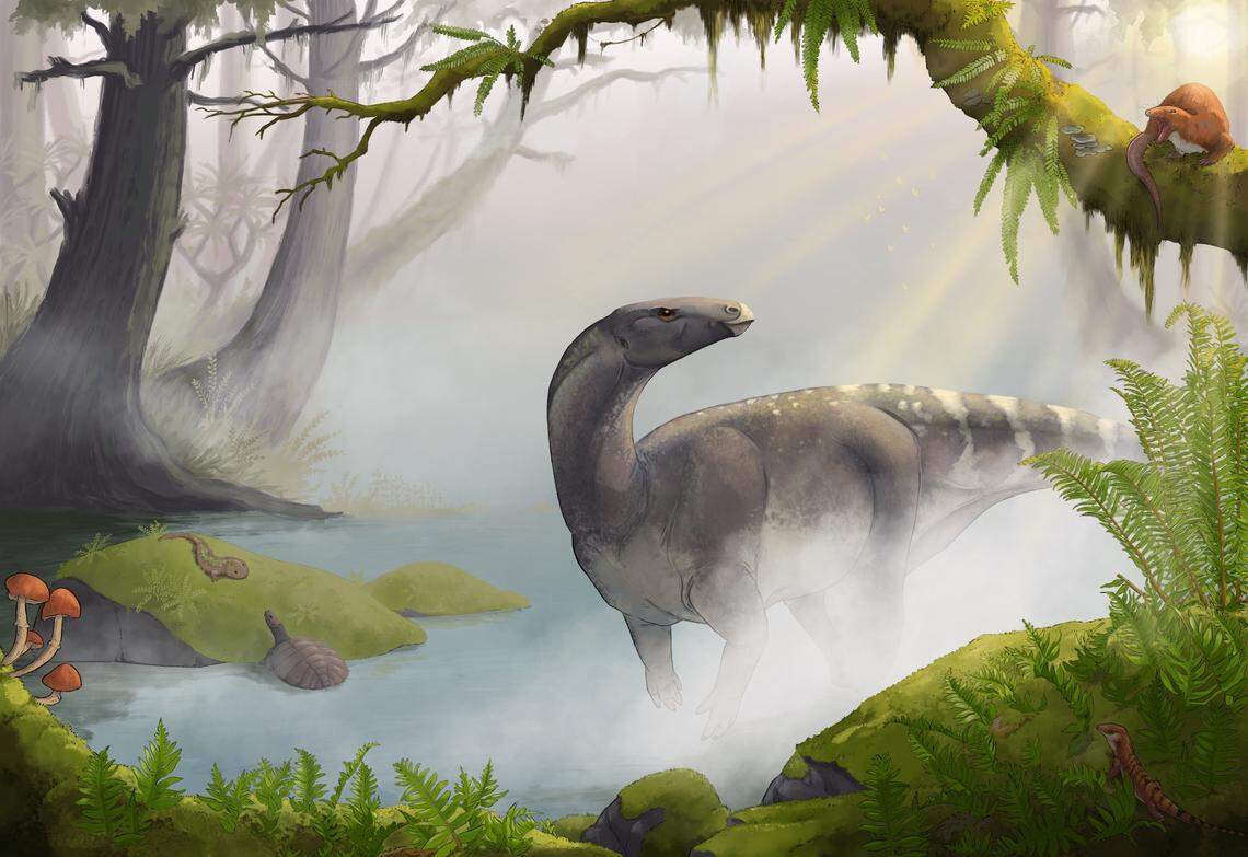 The prehistoric species was herbivorous and belonged to a famous dinosaur family.