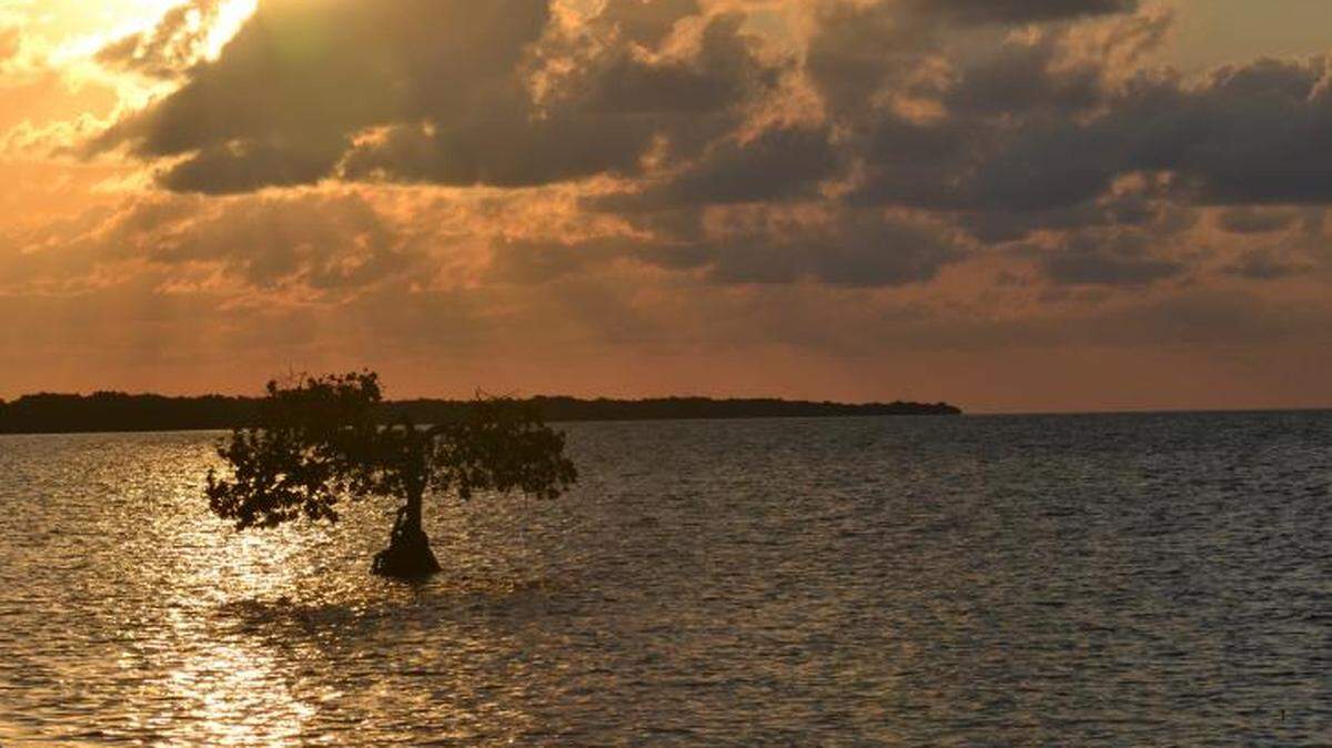 El sol se eleva sobre el agua en Parque Estatal Long Key. Foto cortesía de los Parques Estatales de la Florida.