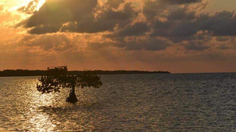 These 7 hidden spots in the Florida Keys lure travelers off the road. How to find them