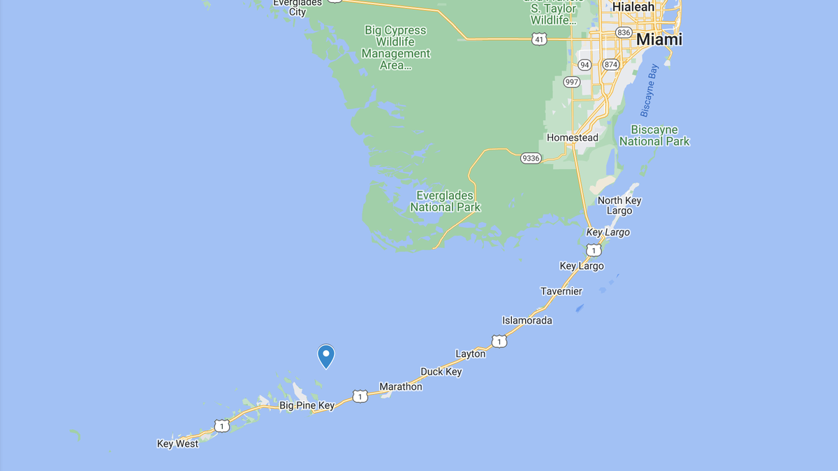 A small plane crashed in the Gulf of Mexico off the Lower Florida Keys Saturday, March 11, 2023. One person was on board and injured.