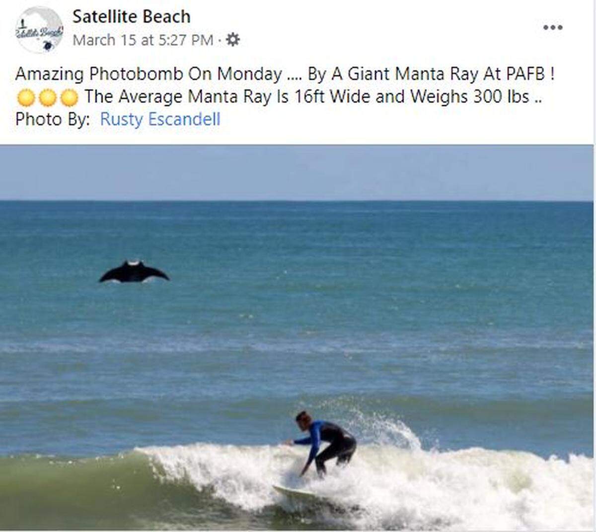 Miami native Rusty Escandell snapped a photo of a manta ray photobombing a surfer at Satellite Beach, Florida.