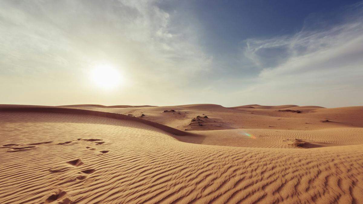 In an ancient desert across southern Brazil, a giant flying reptile attacked from above.