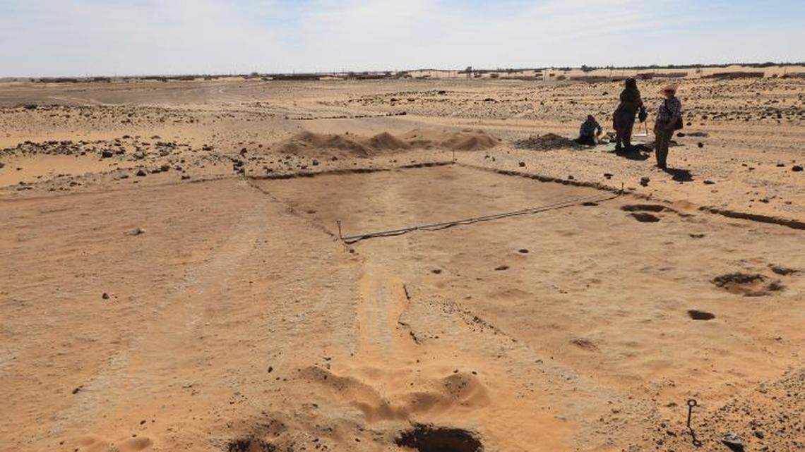 Archaeologists in the Letti Basin found an ancient cemetery with grave goods and the oldest known tools for cattle bleeding, photos show.