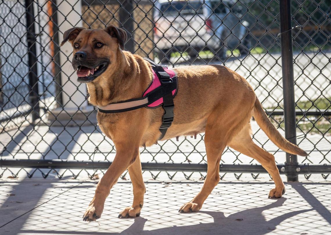 Miami, Florida, November 23, 2021 -