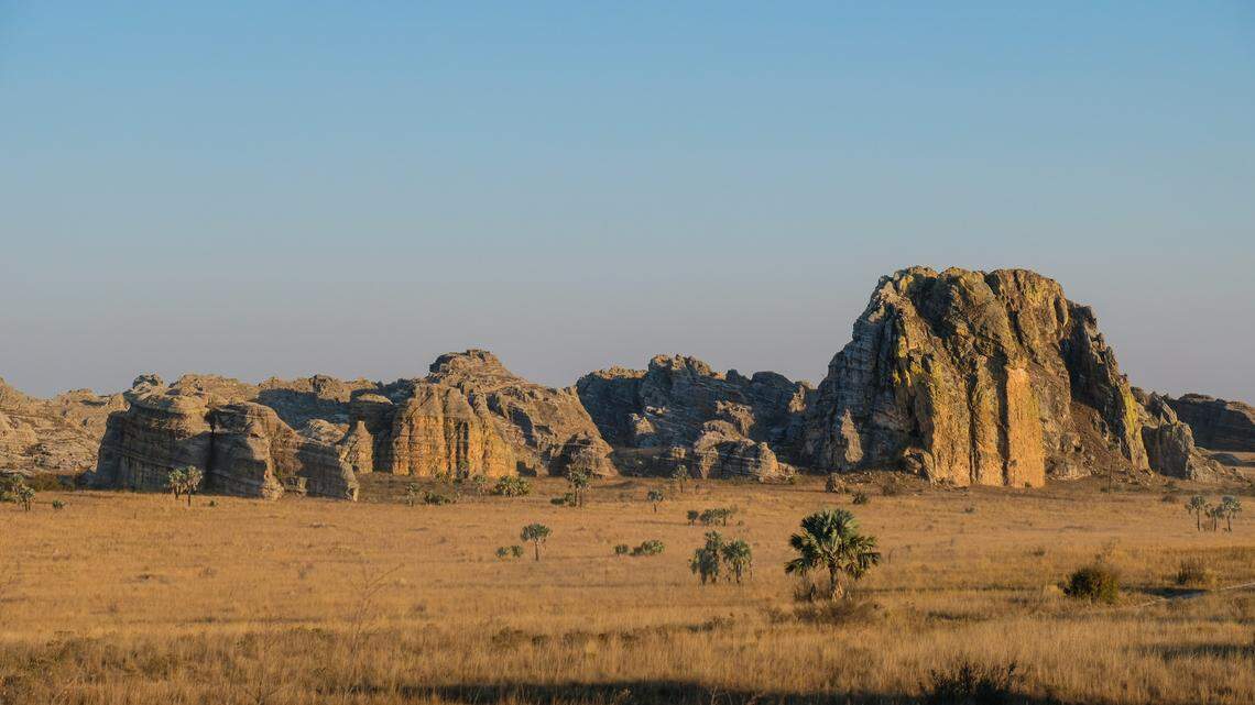 Scientists found a “slender” animal guarding its eggs in a swamp in Madagascar and discovered a new species, a study said. Photo shows a representative area of Isalo.