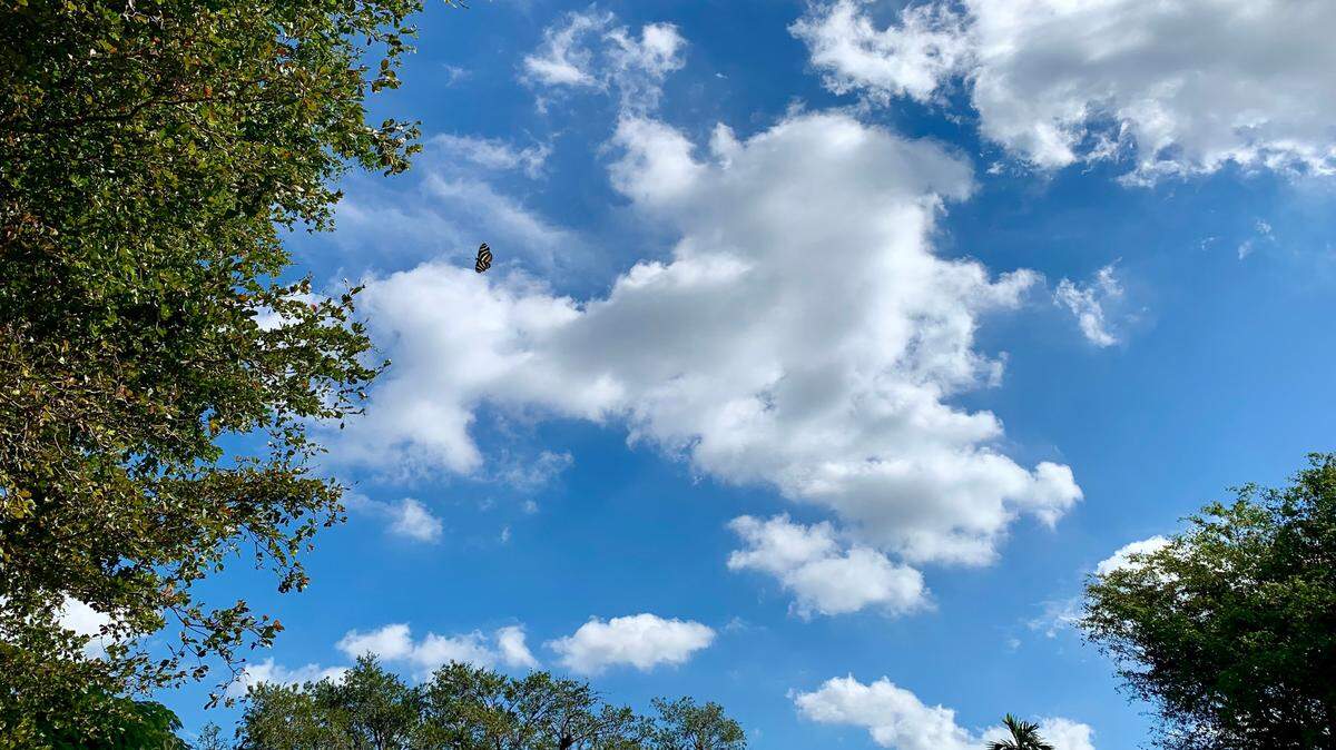 Mostly clear skies and near record heat is on tap for Miami on Wednesday, Dec. 8, 2021. The warm weather is expected to last through the week, according to meteorologists with the National Weather Service in Miami.