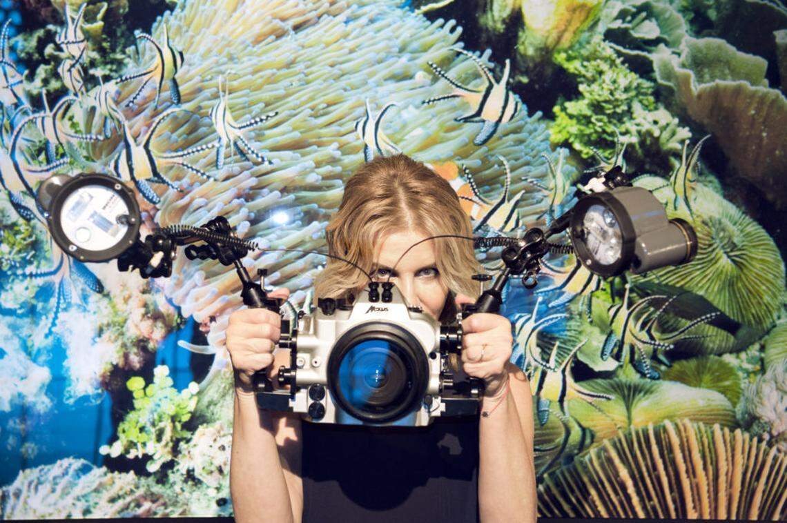 Turkish photographer Ayşegul Dinçkök presents shark photographs.