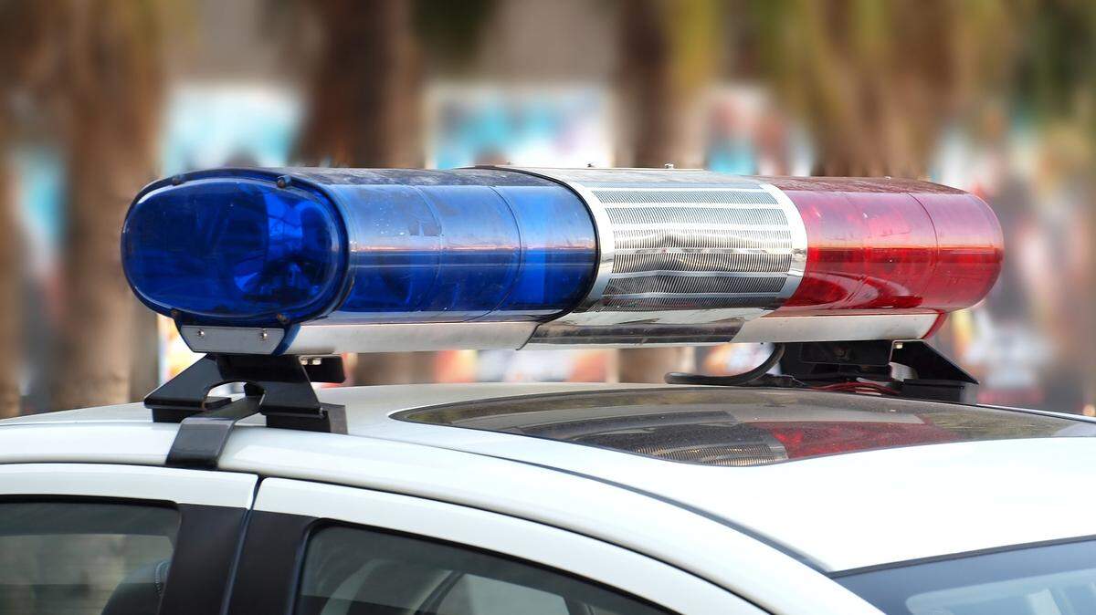 Arlena Keye and Shaday Williams, both 27, are charged with child neglect and shoplifting.