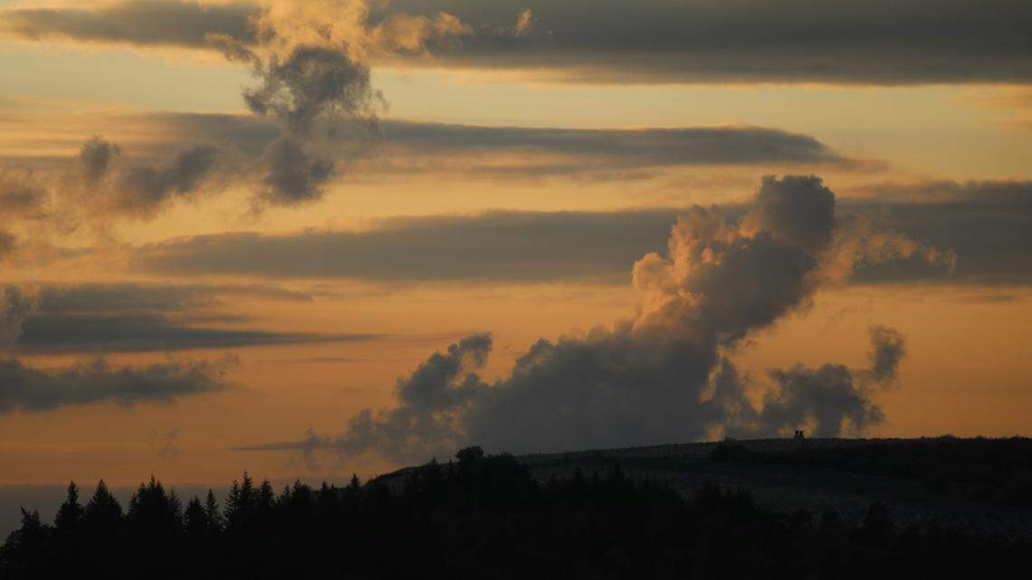 A prehistoric missing link was discovered in a quarry in southern Germany.