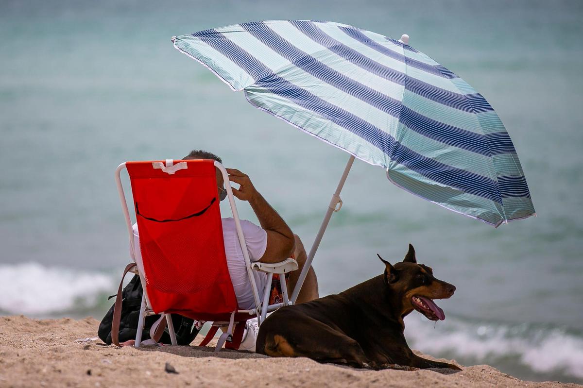 In this file photo from June 21, 2021, a man, Scott, and his dog, Tiny, visit Haulover Beach Dog Park as high heat temperatures continued across South Florida. On the week of July, 20, 2022, heat indexes in the triple digits could trigger a heat advisory if they reach 108.